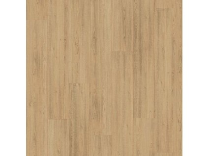 classic 7 31 v4 el1093 dub charlotte prirodni