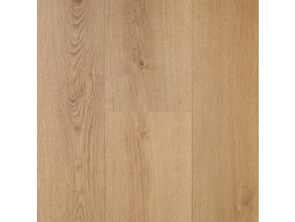 spotlight premium lep 25mm ewh 7010 dub classic v4