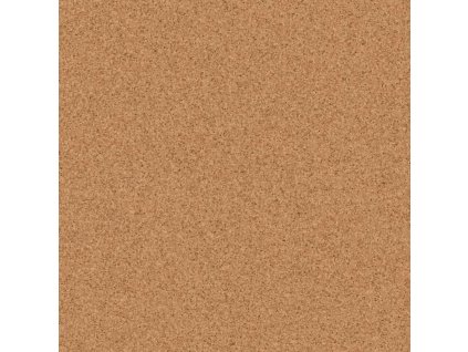 Homogenní vinyl Primo Plus 303 hnědá, Šíře (m) 2.00 (Šíře role 2.00 m)