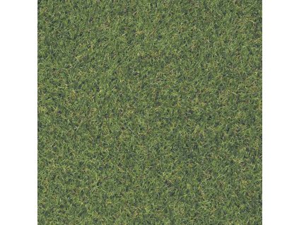 Trávový koberec Rasen zelená, Šíře (m) 2.00 (Šíře role 2.00 m)