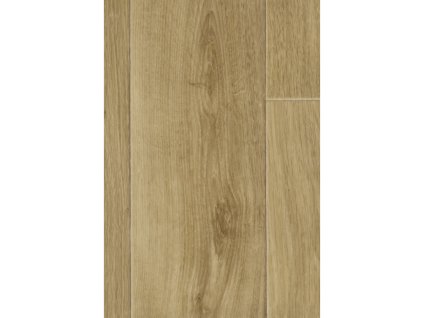 Delta Aurora 09, Šíře (m) 2.50 (Šíře role 2.50 m)