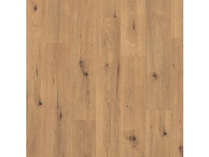 classic 7 31 ci v4 epl182 dub wild prirodni