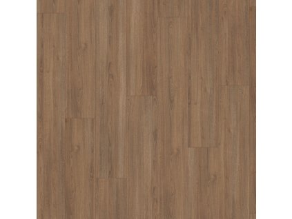 basic 7 31 ci v4 ebl045 dub charlotte hnedy