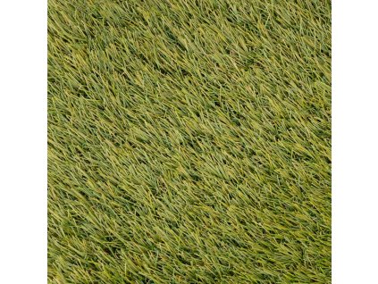 Trávový koberec Greenland 40, Šíře (m) 2.00 (Šíře role 2.00 m)