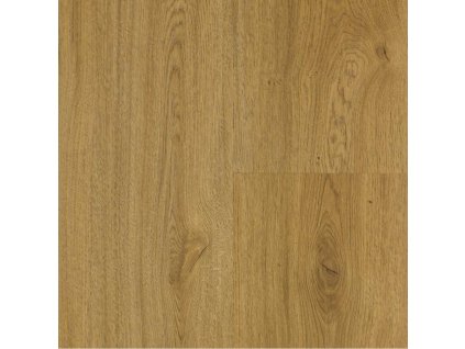 solidcore xciting 50mm click 62106 dub ambience kavovy