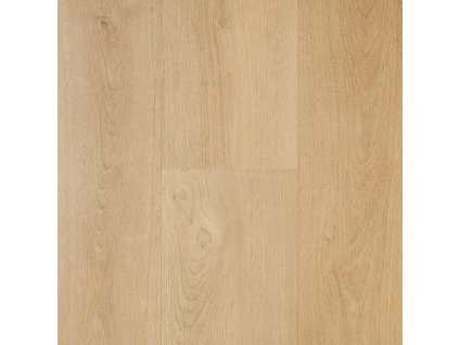 spotlight premium click 5mm ewh 7002 dub canyon v4