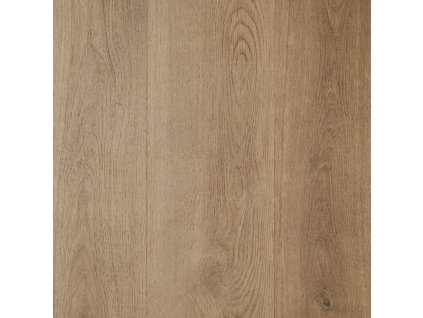 spotlight premium click 5mm ewh 7006 dub pacific v4