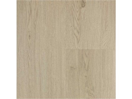 solidcore xciting 2mm lep 62207 dub ambience mliecny