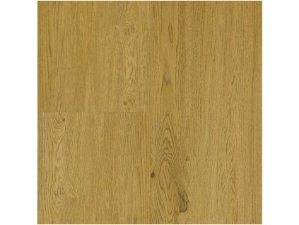 solidcore xciting 2mm lep 62208 dub ambience kremovy