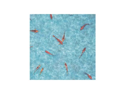 Moonlight Koi, Šíře (m) 2.00 (Šíře role 2.00 m)