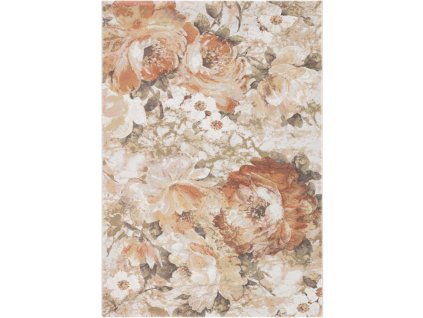 koberec ramon 63377 9248