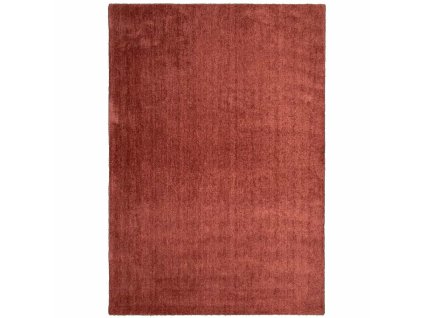 koberec labrador 71351 013 tehlova