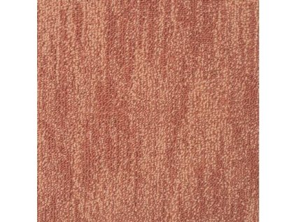 25409 spoltex leon 21844 terra sire 4 m