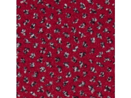 25766 spoltex fortissimo sd new 15 cervene sire 4 m