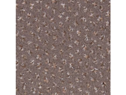 25772 spoltex fortissimo sd new 67 bezove sire 4 m