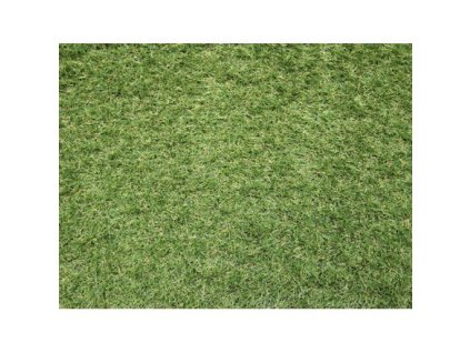 Spoltex / Sophia New  (Šíře role 4 m)