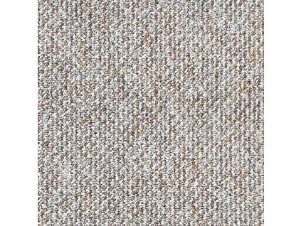 26015 spoltex boston 92 sv hnedy sire 3 m