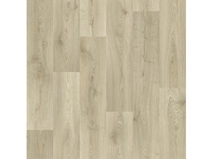 Reward Caspian 2, Šíře (m) 3.00 (Šíře role 3.00 m)