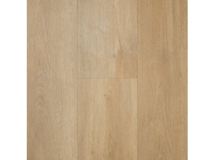 spotlight click 5mm cw 1629 dub essence v4