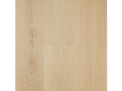 spotlight premium click 5mm ewh 7037 dub autumn v4