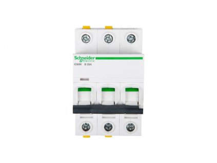 Schneider jistič iC60N A9F03325 6 kA B 25 A