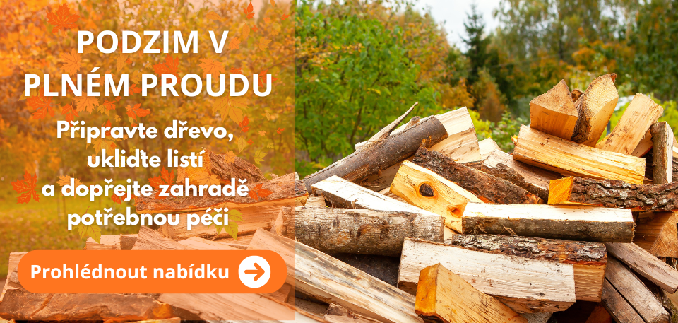 Podzim na zahradě
