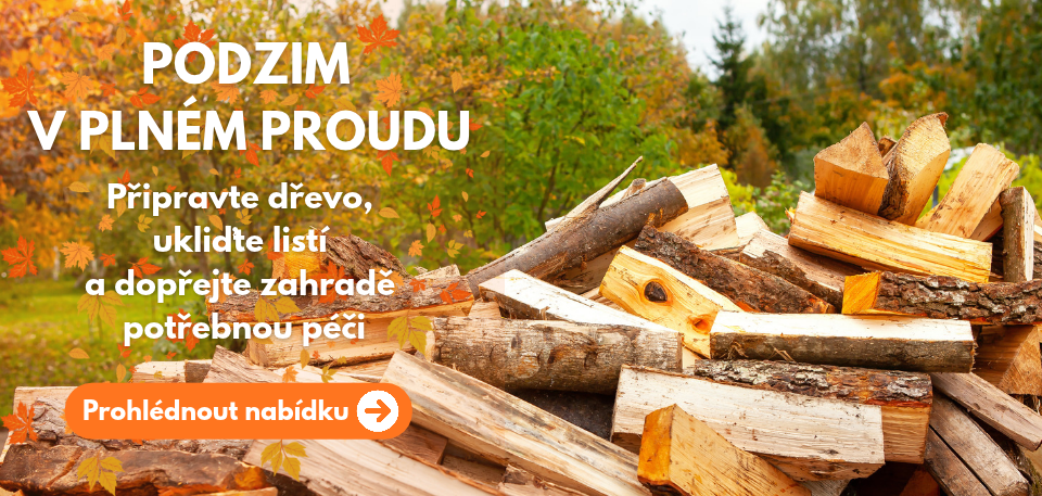 Podzim na zahradě