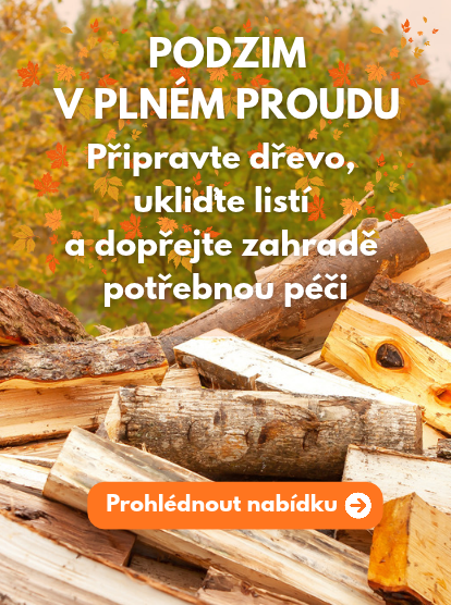 Podzim na zahradě
