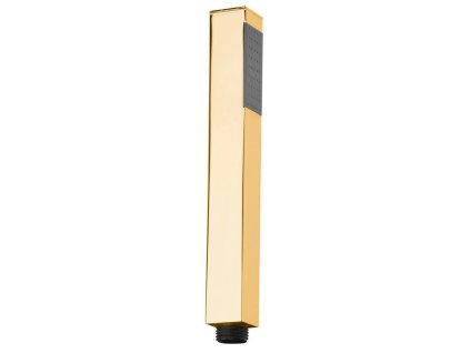 36516 rucni sprcha 200mm zlato
