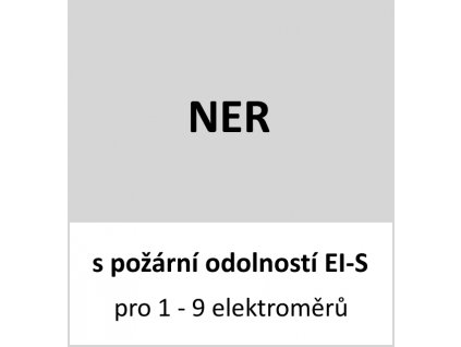 NER EI S