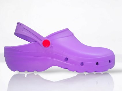 Light shock lilac