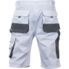 FF CARL BE-01-009 šortky (Veľkosť 46, Farba sivá)
