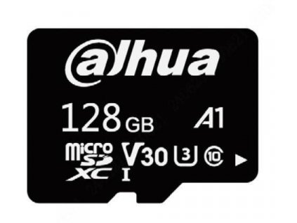128GB paměťová karta DAHUA TF-L100-128G
