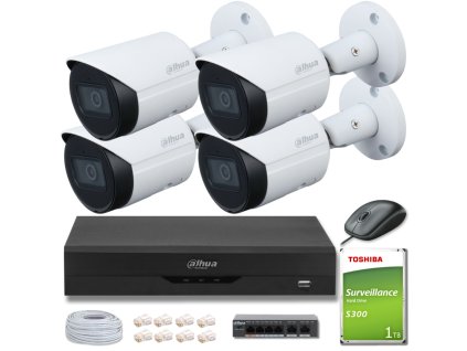 SADA 4 KS DAHUA IPC-HFW2841S-S IPC-HFW2841S-S + 1TB DISK