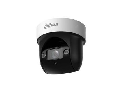 DAHUA SD29204DB-GNY-W