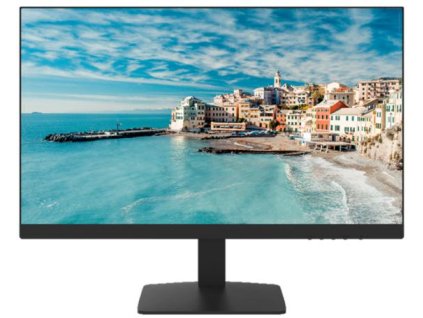 Monitor HikVision DS-D5022FN-C