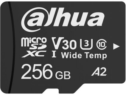 Pamäťová karta DAHUA TF-W100-256 GB