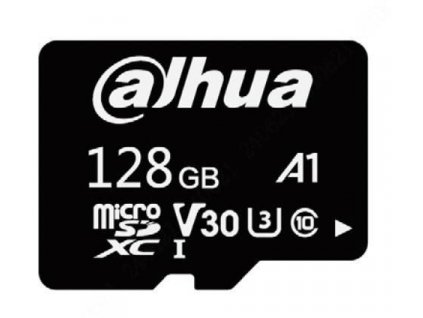 DAHUA TF-L100-128GB