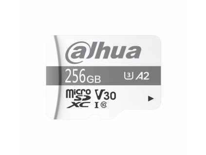 Pamäťová karta DAHUA TF-P100/256G 256 GB