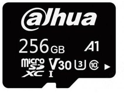 Pamäťová karta DAHUA TF-L100-256 GB