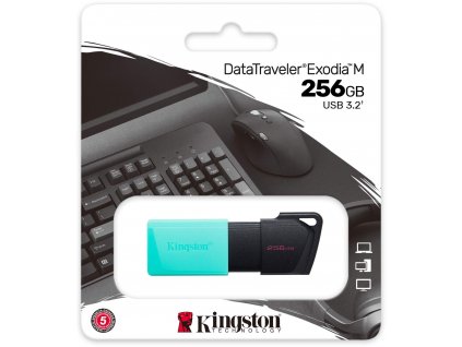 Flash disk Kingston Data Traveler Exodia M 256 GB USB3.2 Gen1