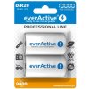 D / R20 Ni-MH nabíjacie batérie everActive 10000mAh Professional Line (balenie 2 ks)