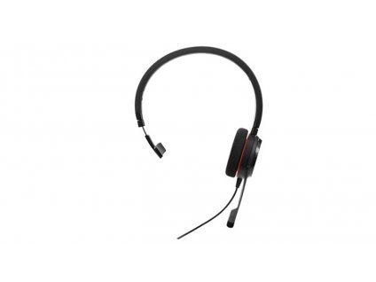 Jabra Evolve 20/Mono/USB/Drôt/MS/Čierna