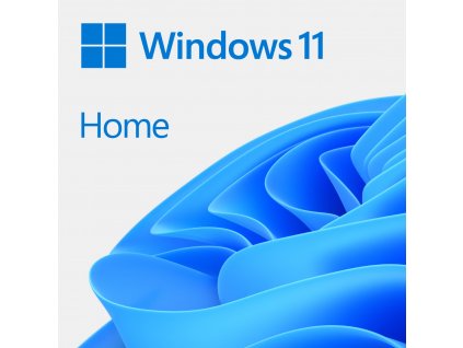 MS Win 11 Home 64-Bit German 1pk OEM DVD