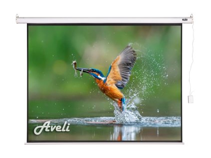Elektrické projekčné plátno AVELI, 200x150 (4:3) 98''