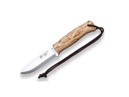 13a1f96193488a028dad9360e9577b05