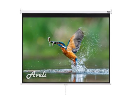 Nástenné projekčné plátno AVELI, 175x131cm (4:3) 86''