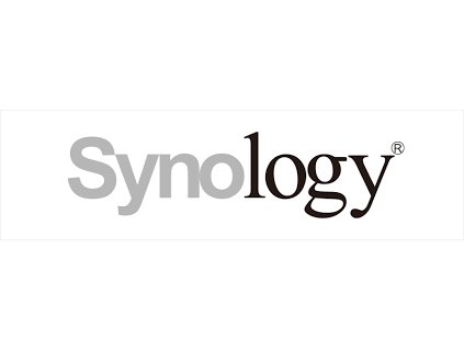synology s