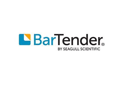 seagull scientific logo 300x150 1 s