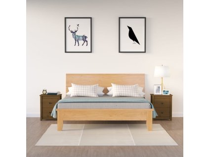 Multidom Nočné stolíky 2 ks medovohnedé 50x35x61,5 cm borovicový masív